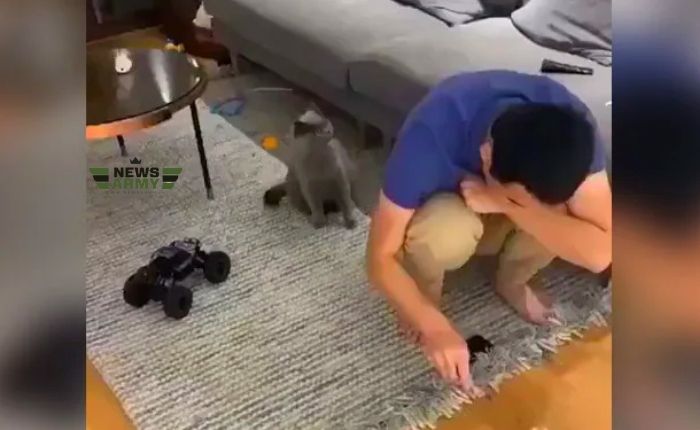 मालिक बिल्ली के बच्चे के साथ खेलने लगा, लेकिन बिल्ली हो गई गुस्‍सा, देखें Viral Video