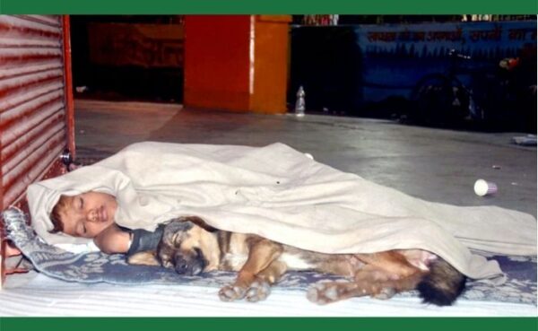 पिता जेल में है और मां छोड़ कर चली गई तो, कुत्ते ने निभाया साथ और मासूम के साथ सोया फुटपाथ पर