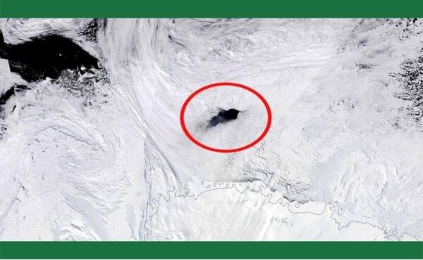 दुनिया के लिए खतरा बन सकता है, आर्कटिक बर्फ की आखीरी परत में हुए 100 किमी लंबा छेद