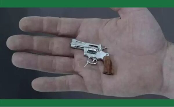 देखने में छोटा, पर घाव करे बड़ा, कुछ ऐसा ही है यह छोटा सा बंदूक जिसकी कीमत ₹50 लाख