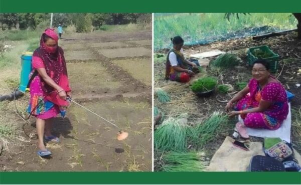 ऑर्गेनिक फार्मिंग के जरिए 51 साल की उम्र में महिला ने शुरू की थी खेती और 10 साल बाद 15 लाख है सालाना कमाई