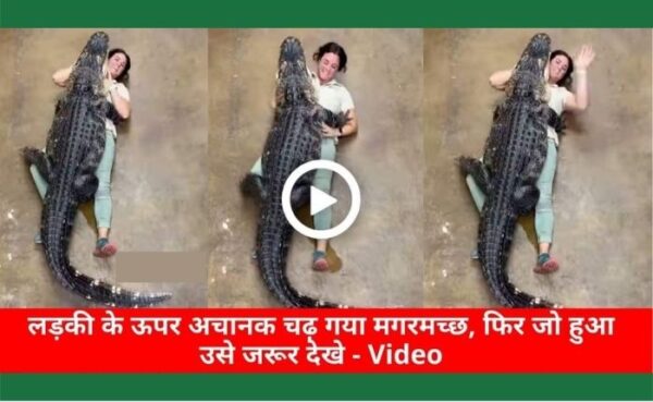 मगरमच्छ चढ़ा लड़की के ऊपर, देखकर हालत हुआ खराब