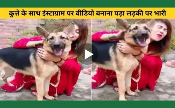 कुत्ते के साथ इंस्टाग्राम पर वीडियो बनाना पड़ा लड़की पर भारी, वायरल हो रहा वीडियो