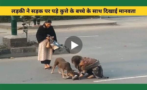 लड़की ने सड़क पर पड़े कुत्ते के बच्चे के साथ दिखाई मानवता और जीता सबका दिल