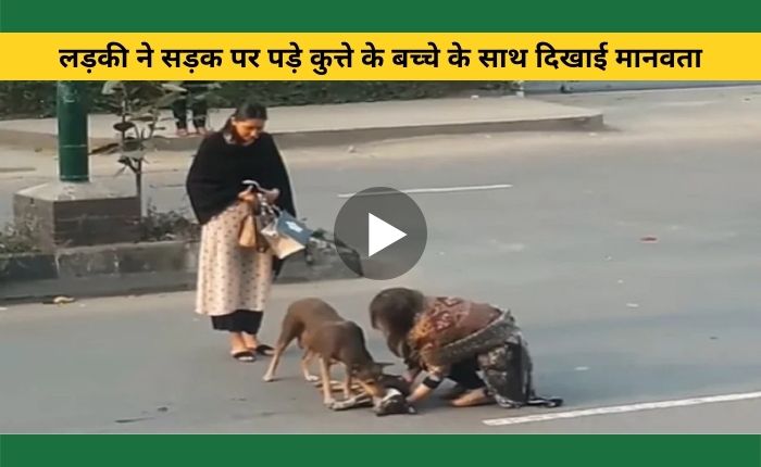 Girl shows humanity with a dog lying on the road