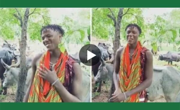 तंजानिया के भाई-बहन पर एक बार फिर चढ़ा शाहरुख के जालिमा गाने का बुखार वीडियो वायरल