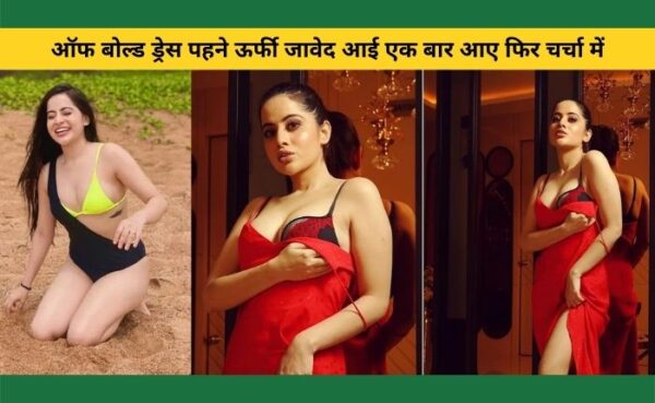 ऑफ बोल्ड ड्रेस पहने ऊर्फी जावेद आई एक बार आए फिर चर्चा में.. जानिए उनके फैंस का रिएक्शन