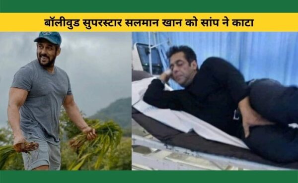 सलमान खान को काटा सांप ने, अस्पताल में डॉक्टर ने तबीयत स्थिर बताने के साथ ही डिस्चार्ज भी किया