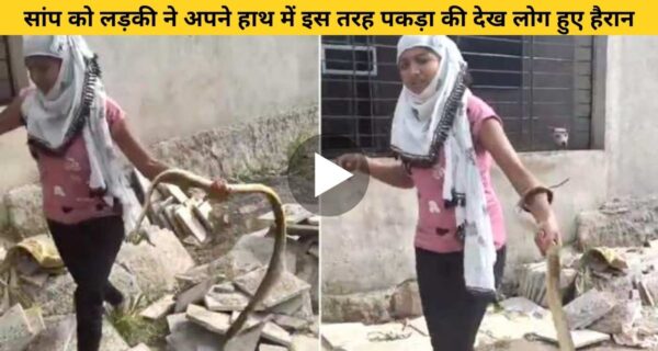 😲😲 वायरल वीडियो: जहरीले सांप को लड़की ने अपने हाथ में इस तरह पकड़ा की देख लोग हुए हैरान