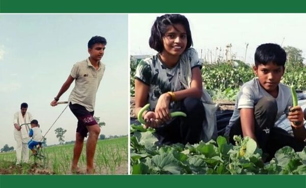 किसान के बच्चे पढ़ाई के बाद मोबाइल छोड़ अपने पिता की करते हैं खेतों में मदद, पिता को हुआ 10 महीनों में ढाई लाख का मुनाफा