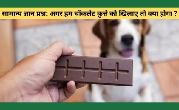 सामान्य ज्ञान प्रश्न: अगर हम चॉकलेट कुत्ते को खिलाए तो क्या होगा ?