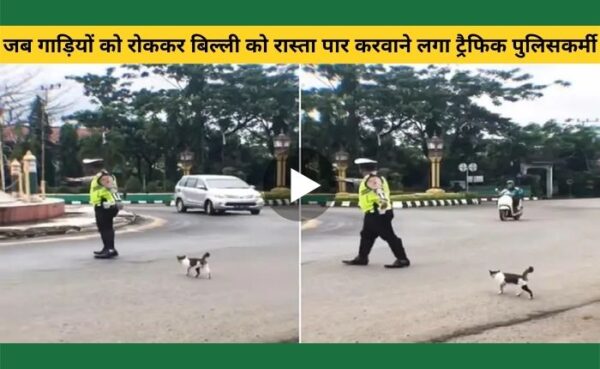 ट्रैफिक पुलिसकर्मी ने गाड़ियों को रोककर जब कराया बिल्ली को रास्ता पार