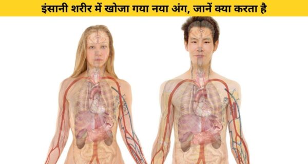 लंदन के वैज्ञानिकों ने खोजा मानव शरीर में एक नया अंग, आखिर काम क्या करता है यह अंग
