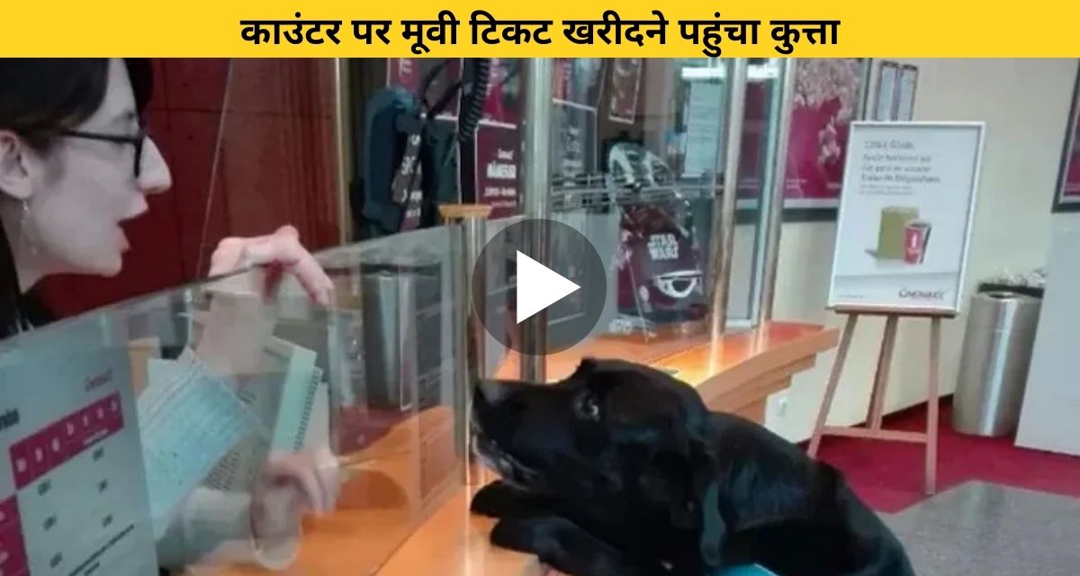 Dog reached the counter to buy movie tickets