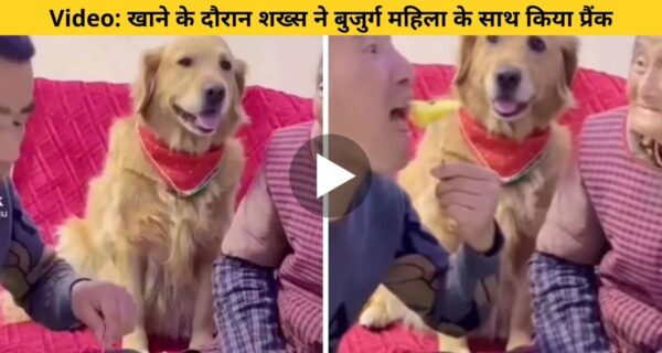 शख्स का कुत्ते और महिला के साथ प्रैंक करना भारी, कुत्ते ने सिखाया ऐसे सबक