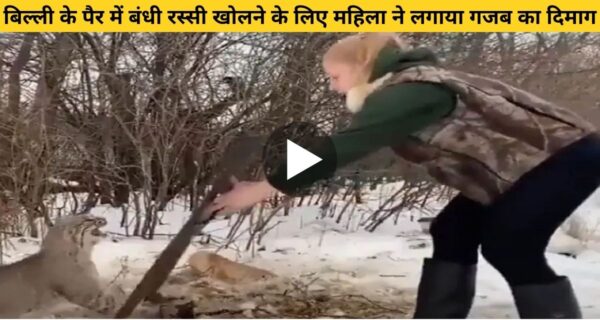 महिला अपनी समझदारी का परिचय देते हुए रस्सी से बंधी बिल्ली को खोलने के लिए लगाया बेहतरीन जुगाड़