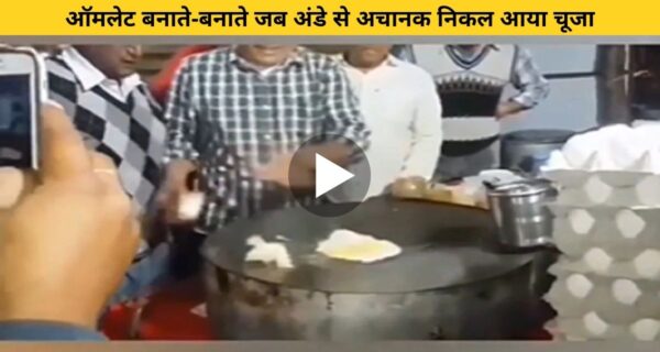 तवे पर अंडा फोड़ते ही अचानक निकल आया चूजा, वीडियो देख हैरान हो रहे लोग