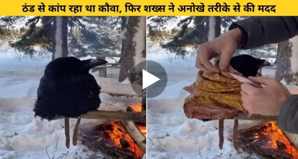 आग के पास बैठे कौवे को लग रही थी ठंड, फिर शख्स ने अनोखे तरीके से की उसकी मदद