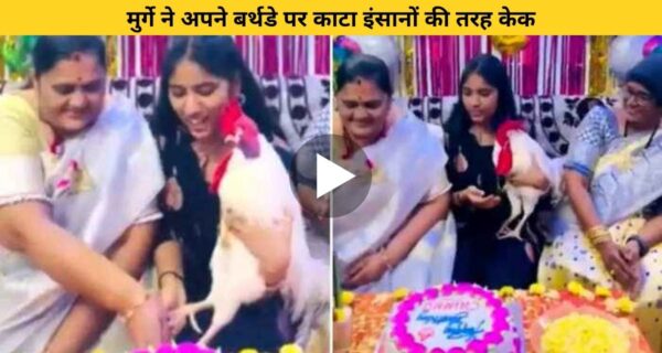 मुर्गे का हुआ बर्थडे सेलिब्रेट, घरवालों ने बर्थडे विश के साथ मुर्गे से कटवाया केक