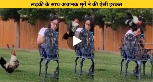 लड़की के साथ अचानक मुर्गे ने की ऐसी हरकत, डर कर चिल्लाने लगी और वहां से भागी