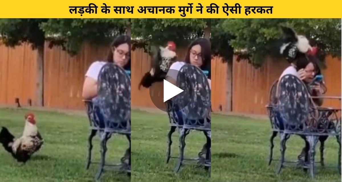 Suddenly the chicken did such an act with the girl
