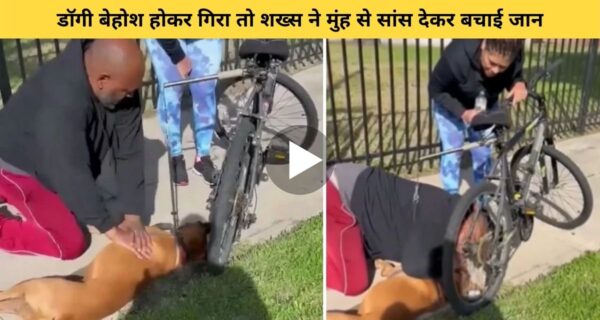 सीआरपी प्रक्रिया से शख्स ने बेहोश डॉगी की बचाई जान, लोगों ने शख्स की की तारीफ