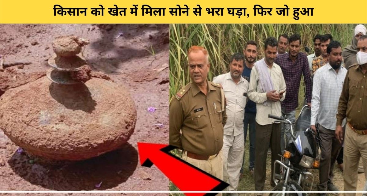 The barren land made the farmer rich