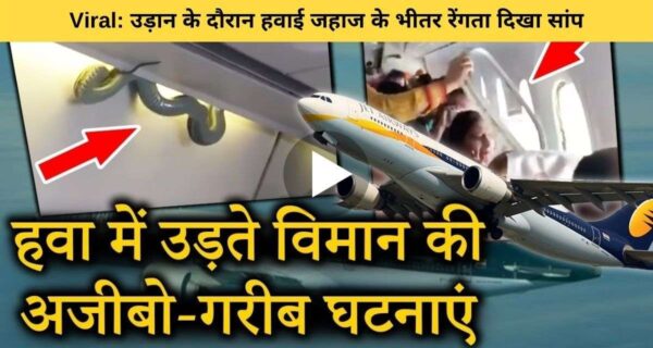 एयर एशिया हवाई जहाज की उड़ान के दौरान भीतर दिखा सांप, इमरजेंसी लैंडिंग करानी पड़ी जहाज को