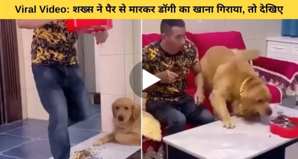 कुत्ते का खाना शख्स ने गिराया तो कुत्ते ने भी लिया उसी के अंदाज में बदला