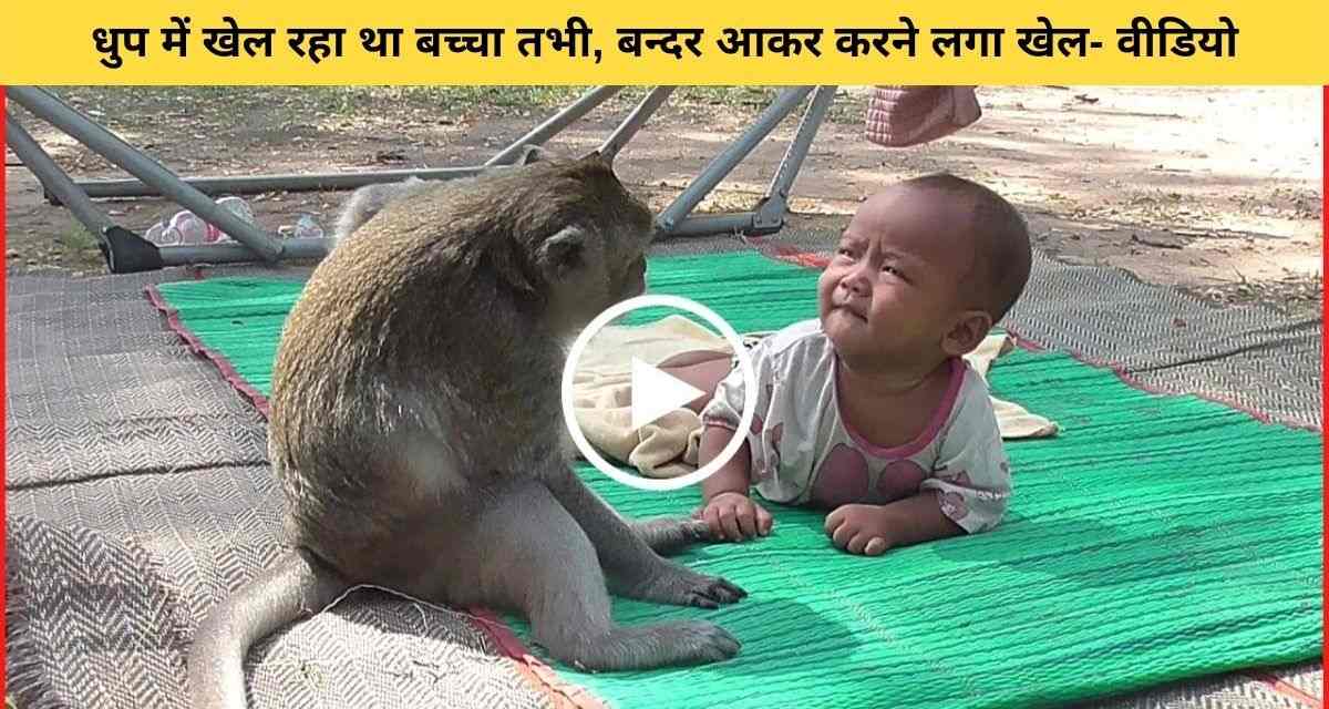 Monkey tried to play with a small child