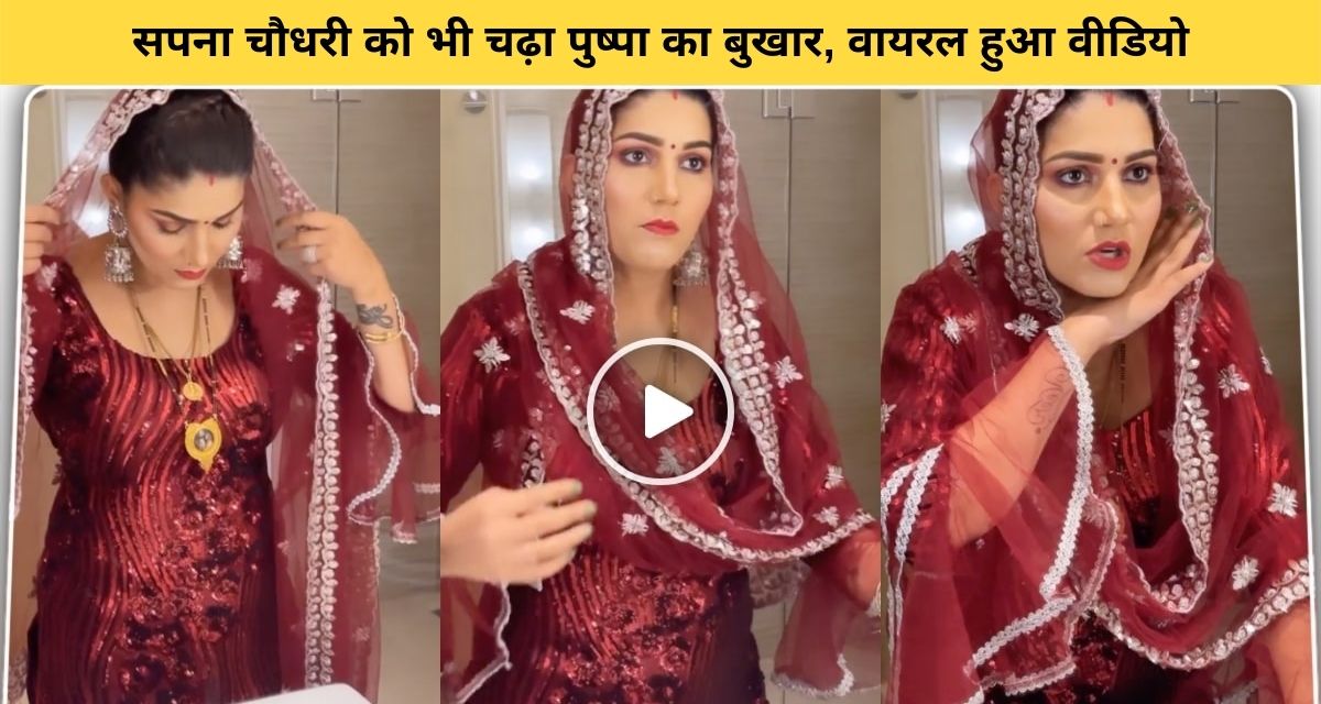 Sapna Choudhary Dialogues of Pushpa Film