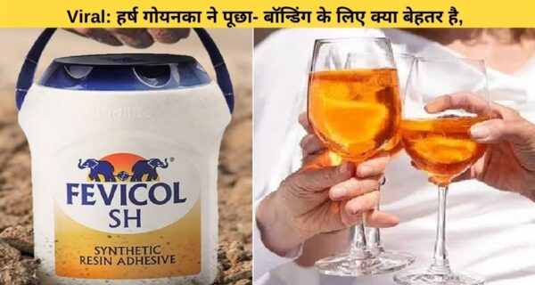 भारतीय उद्योगपति हर्ष गोयनका ने सोशल मीडिया पर पूछा, बॉन्डिंग को लेकर मजेदार सवाल, फेविकोल कंपनी ने दिया मजेदार जवाब