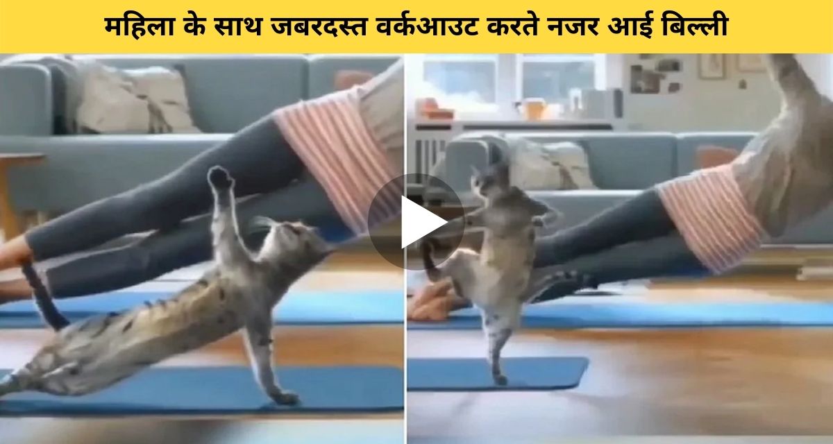 The cat also did a workout with the woman