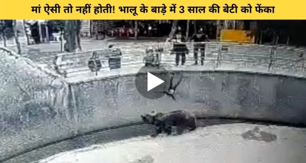 मां ने 3 साल की बेटी को फेंक दिया भालू के बाड़े में, चिड़ियाघर स्टाफ ने बचाई बच्ची की जान