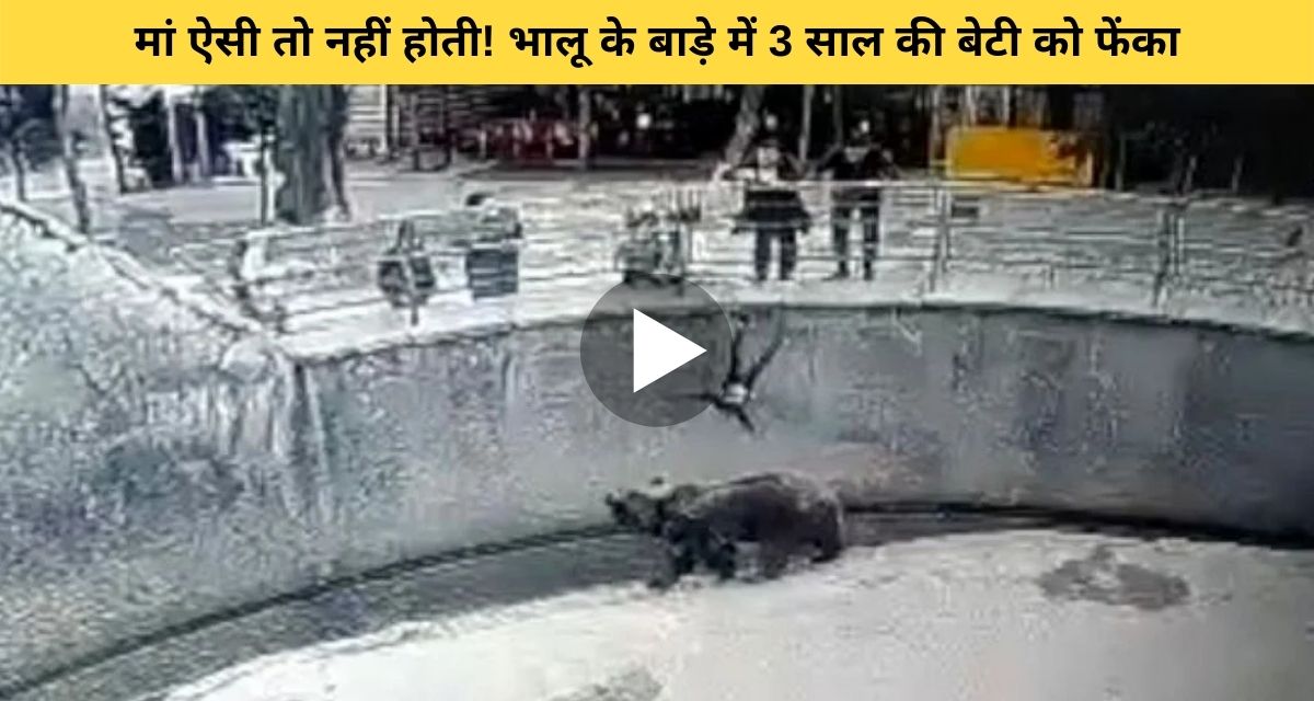 Mother throws 3-year-old daughter in the bear enclosure
