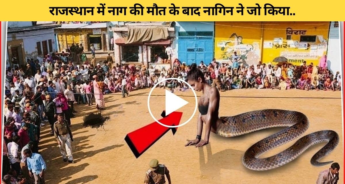 After the death of the snake, the serpent did this