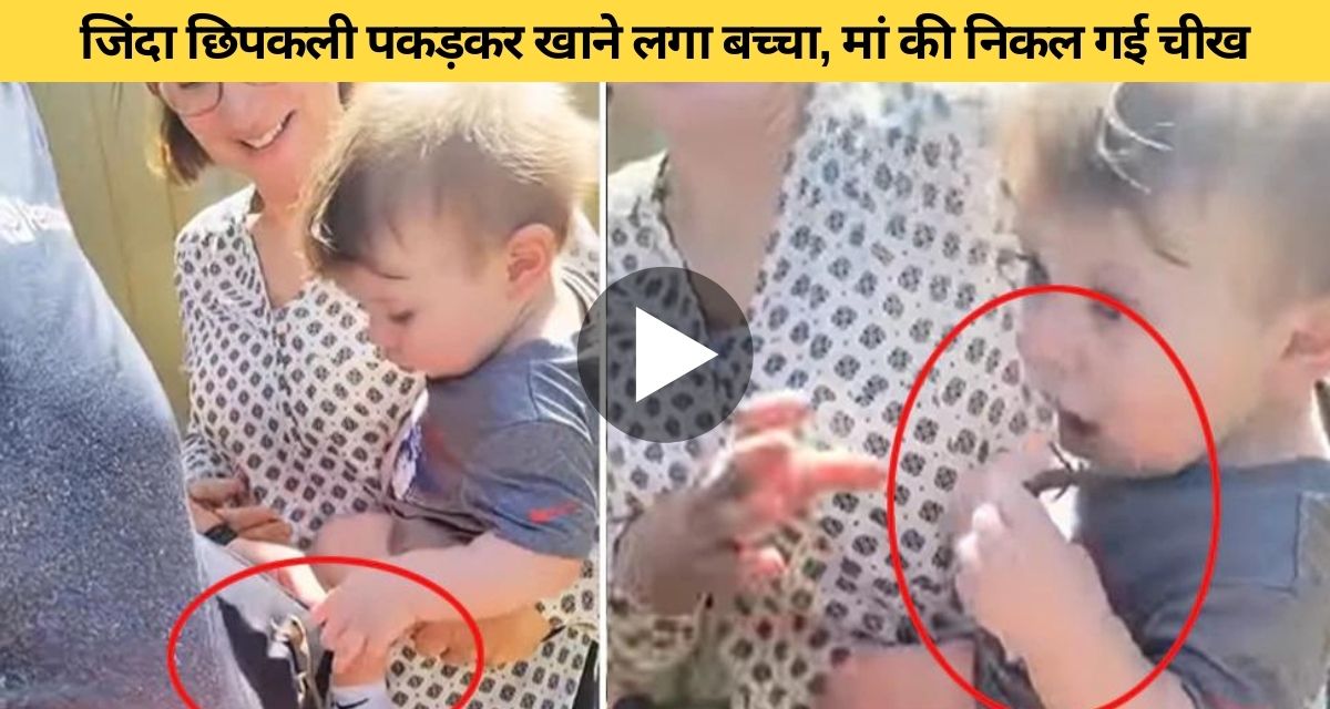 Little child caught alive lizard and started eating