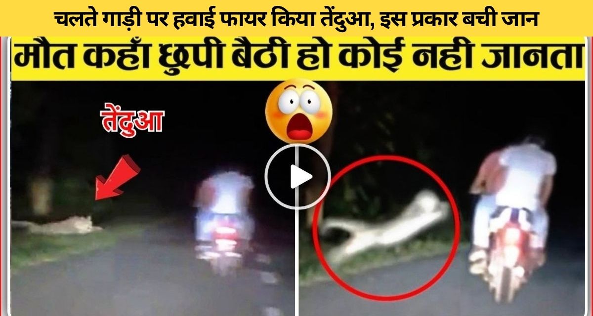 Leopard suddenly attacked two brothers