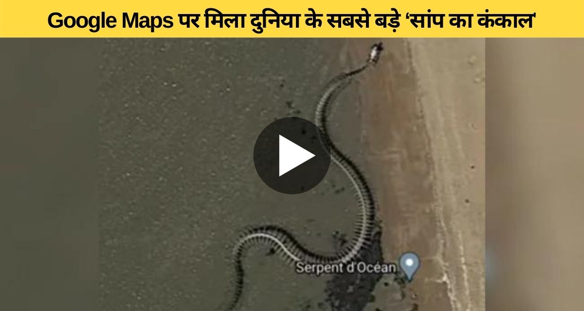 Skeleton of biggest snake found in Google Map