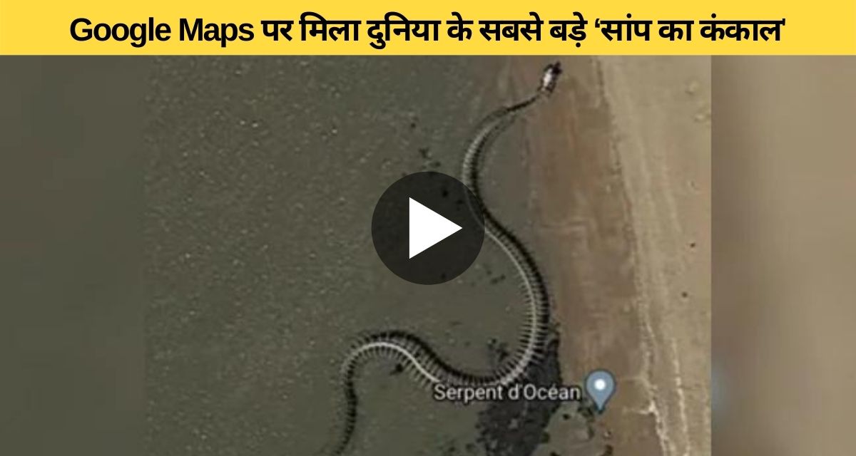 Skeleton of biggest snake found in Google Map