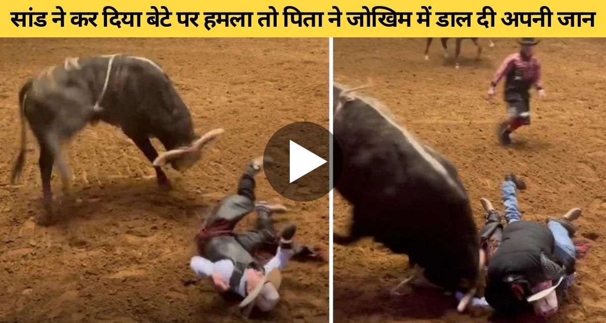 Father saves son from bull attack