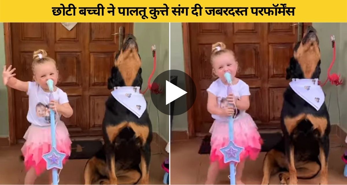 The pet dog is following the little girl and gave a performance