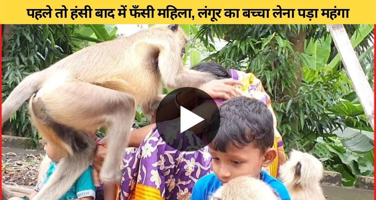 The baby of the langur had to be lifted in the hand, heavy on the woman