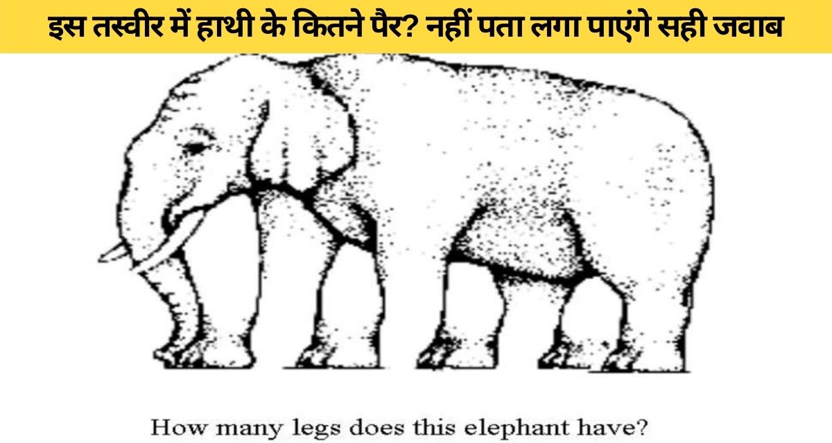 See the picture and tell how many legs does an elephant have?