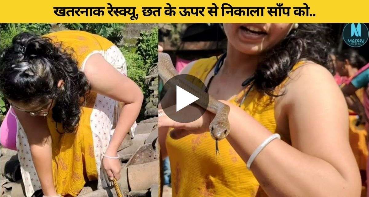 The woman bravely rescued the dangerous snake