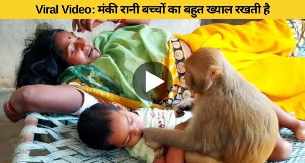 छोटे बच्चे को एक मां की तरफ केयर करते हुए बंदर रानी ने दिल छू लिया