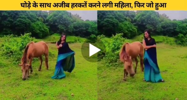 बगीचे में घोड़े के साथ डांस वीडियो बनाती महिला के साथ घोड़े ने की ऐसी हरकत