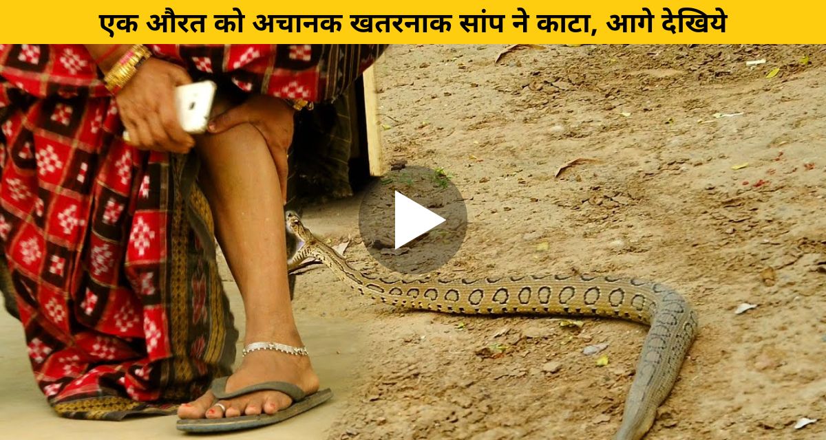 The poisonous snake was going to bite the woman