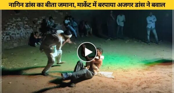 सोशल मीडिया पर छाया अजगर डांस,‌ हंसते हंसते हो जाएंगे लोटपोट