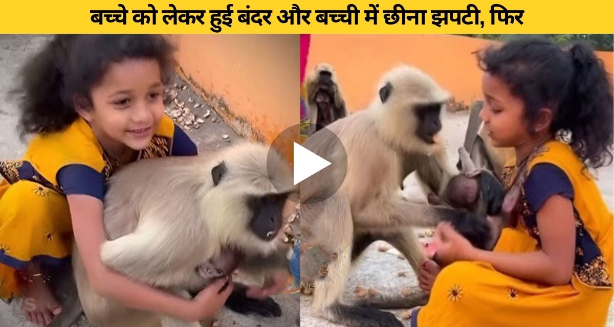 A scuffle broke out between the monkey and the little girl over the monkey's child
